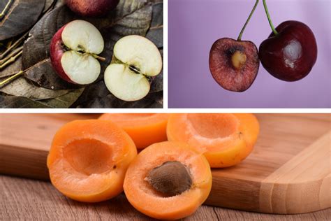 apple seeds poison|peach pits arsenic.